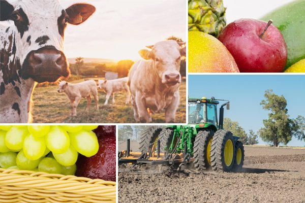 English for the agriculture sector